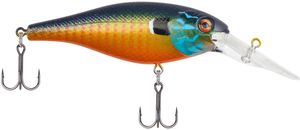 Berkley BHBBS5 Bad Shad Crankbait Lure Gilly - BHBBS5 Gilly