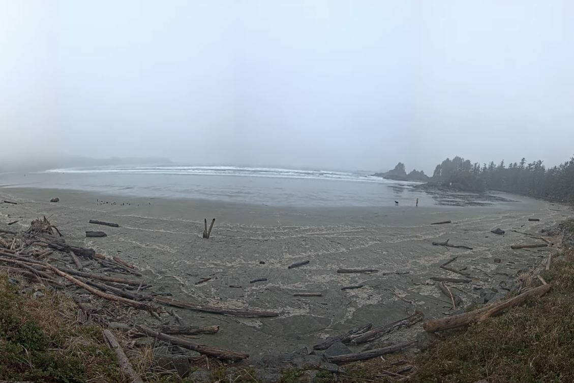 pacific sands beach cam