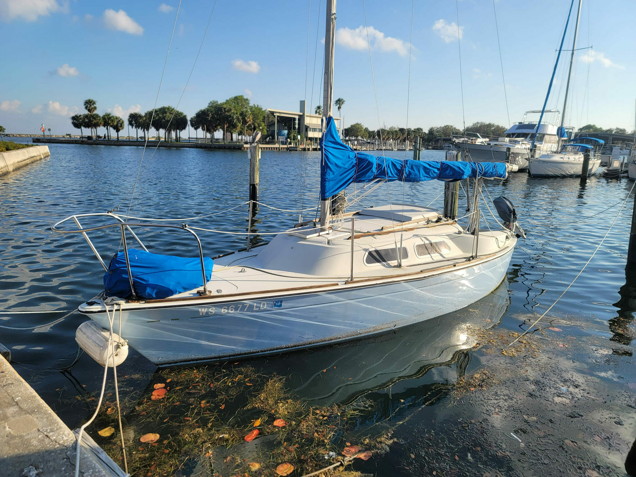 The Pros and Cons of Owning a Sailboat BoatingWorld